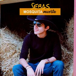 Cover of Mosquita Muerta