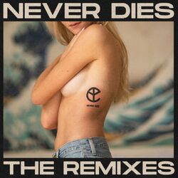 Cover of Never Dies (The Remixes)