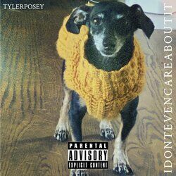 Cover of I Don't Even Care About It