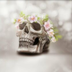 music cover