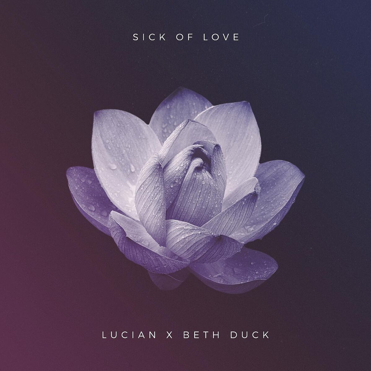 Album cover of Sick of Love (feat. Beth Duck)