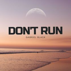 Cover of Dont Run