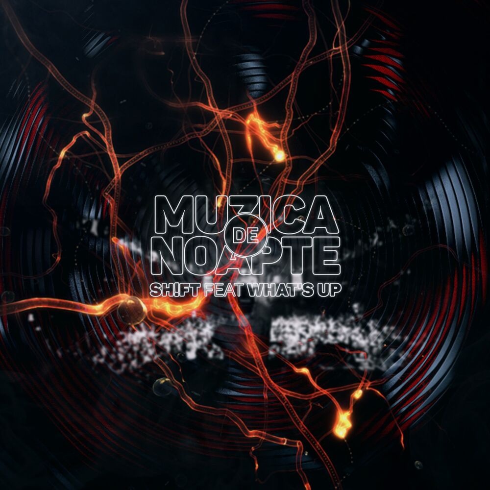 Picture of Muzica De Noapte
