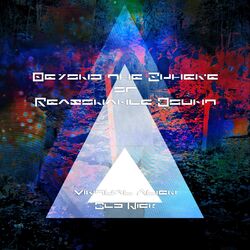 Cover of Beyond the Sphere of Reasonable Doubt