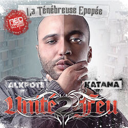 Cover of La ténébreuse épopée