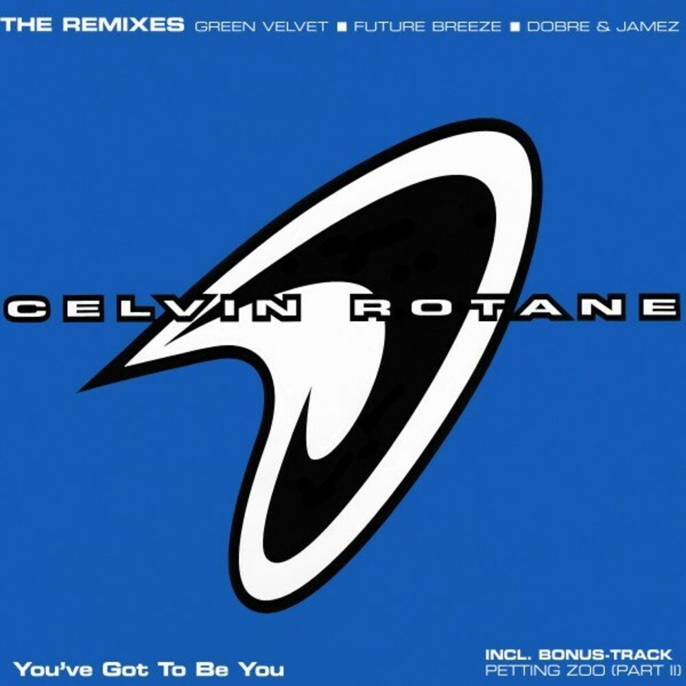 Picture of You've Got to Be You (The Remixes)