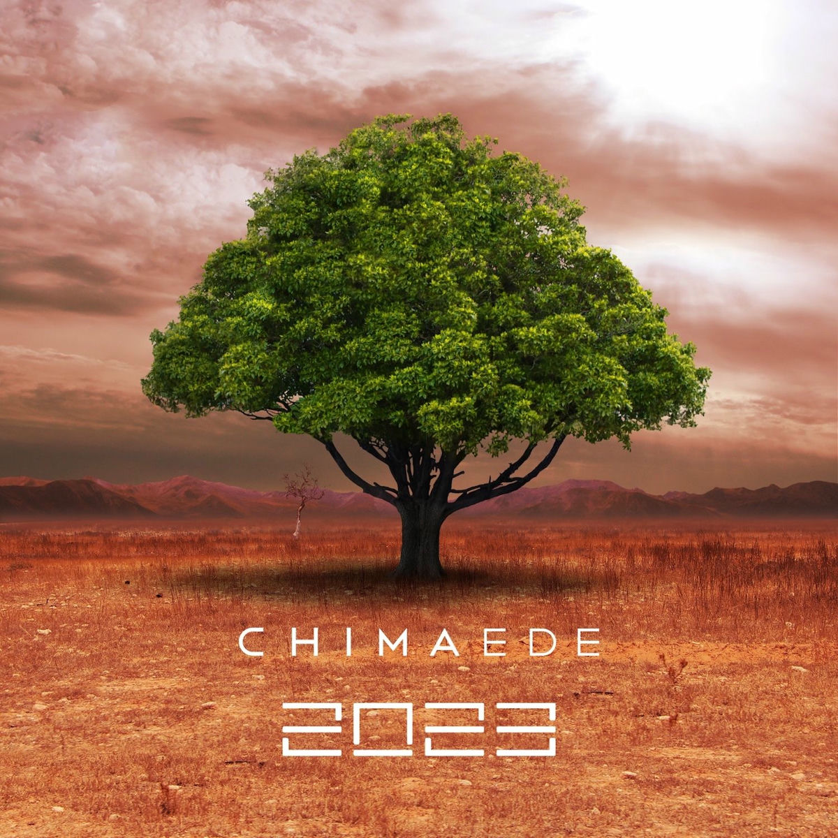 Album cover of 2023
