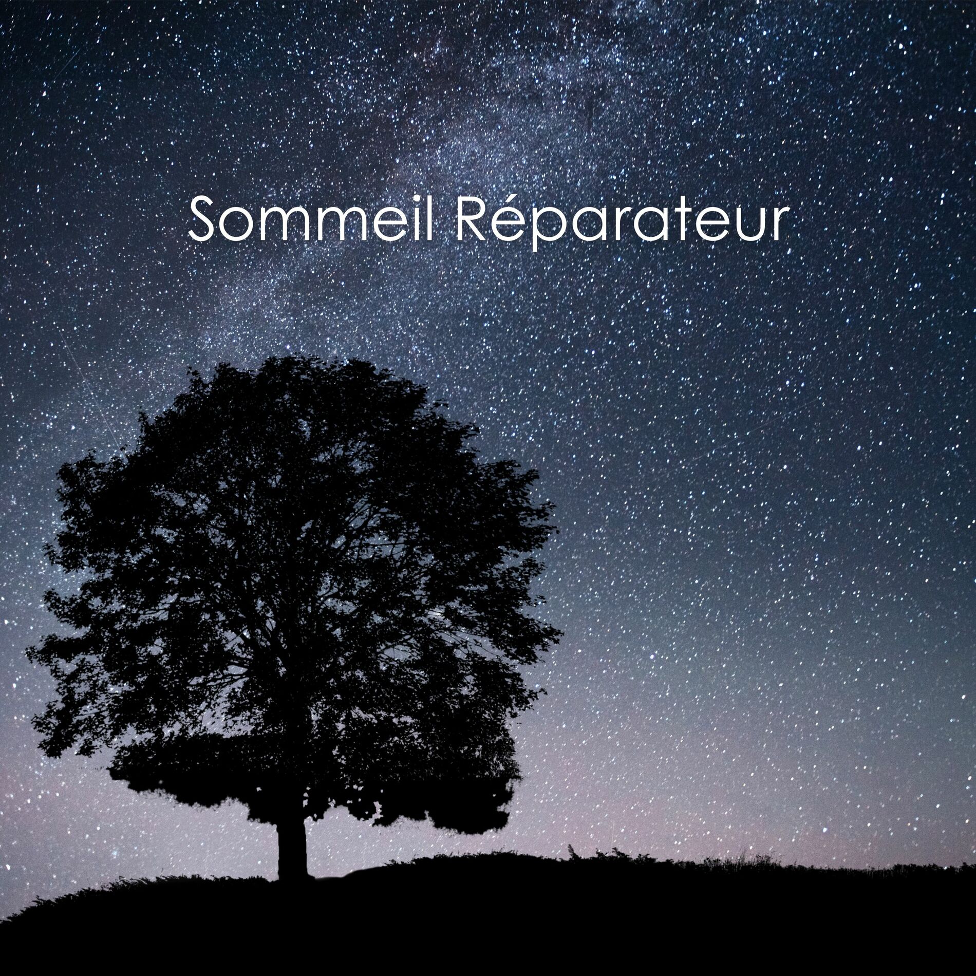 Album cover of Sommeil Réparateur: L'Art du Repos en Harmonie Hz