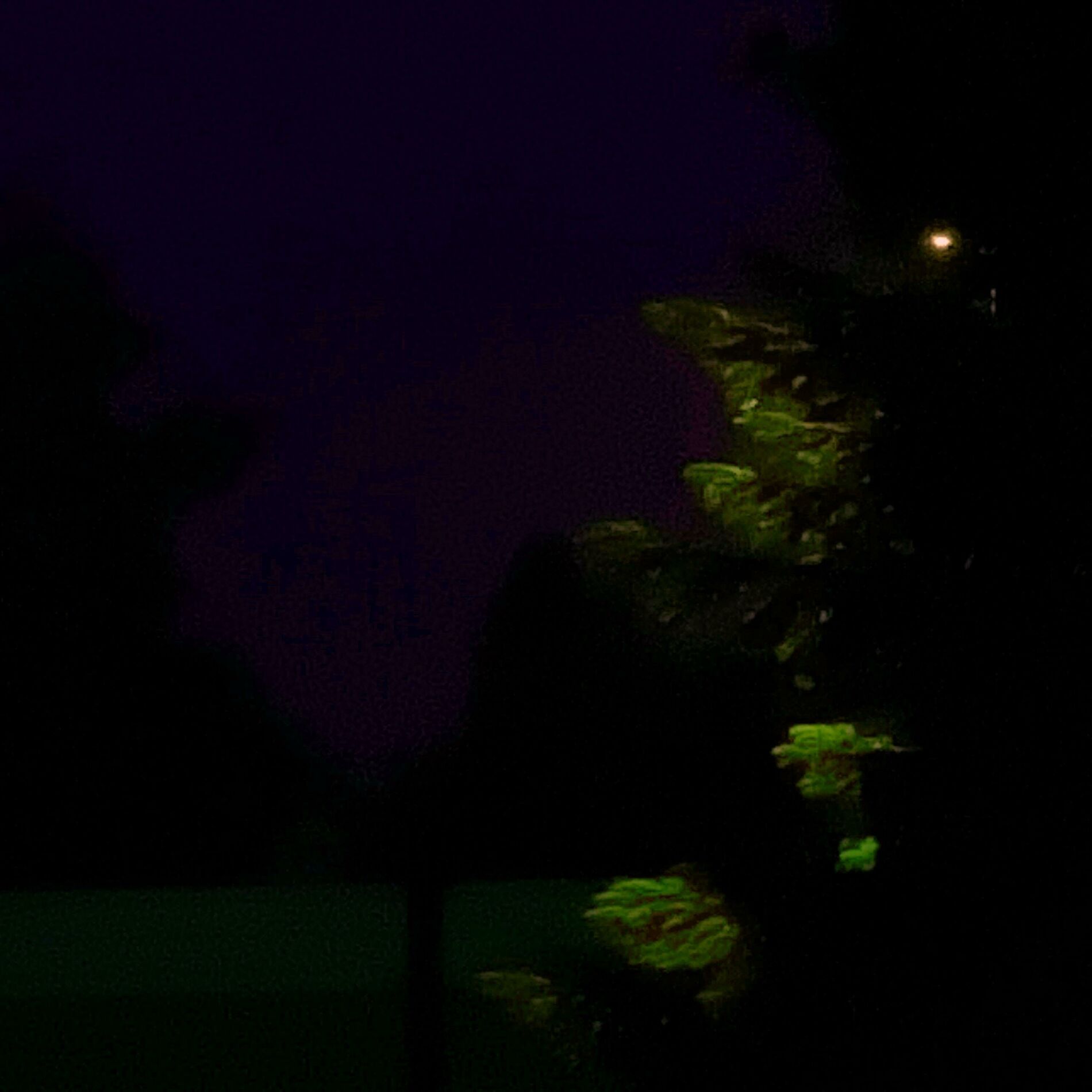 Album cover of midnight_secure