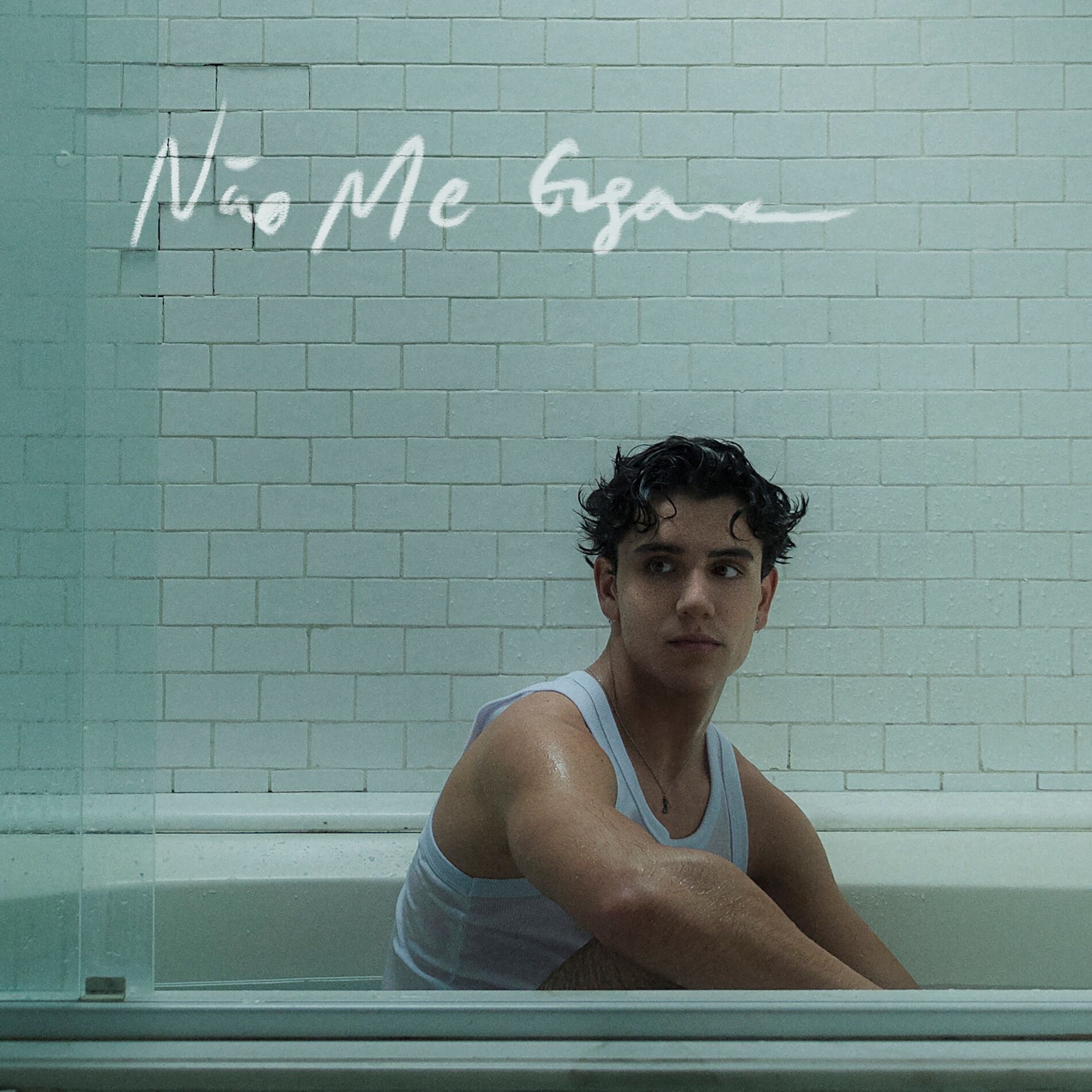 Album cover of Não Me Engana