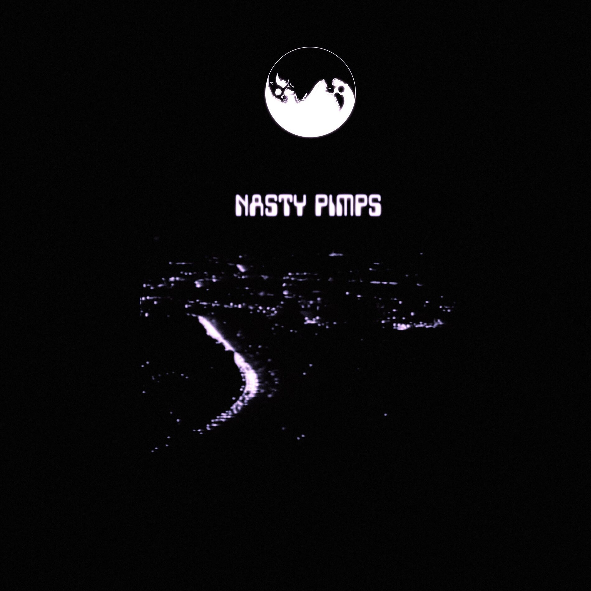 Album cover of NASTY PIMPS