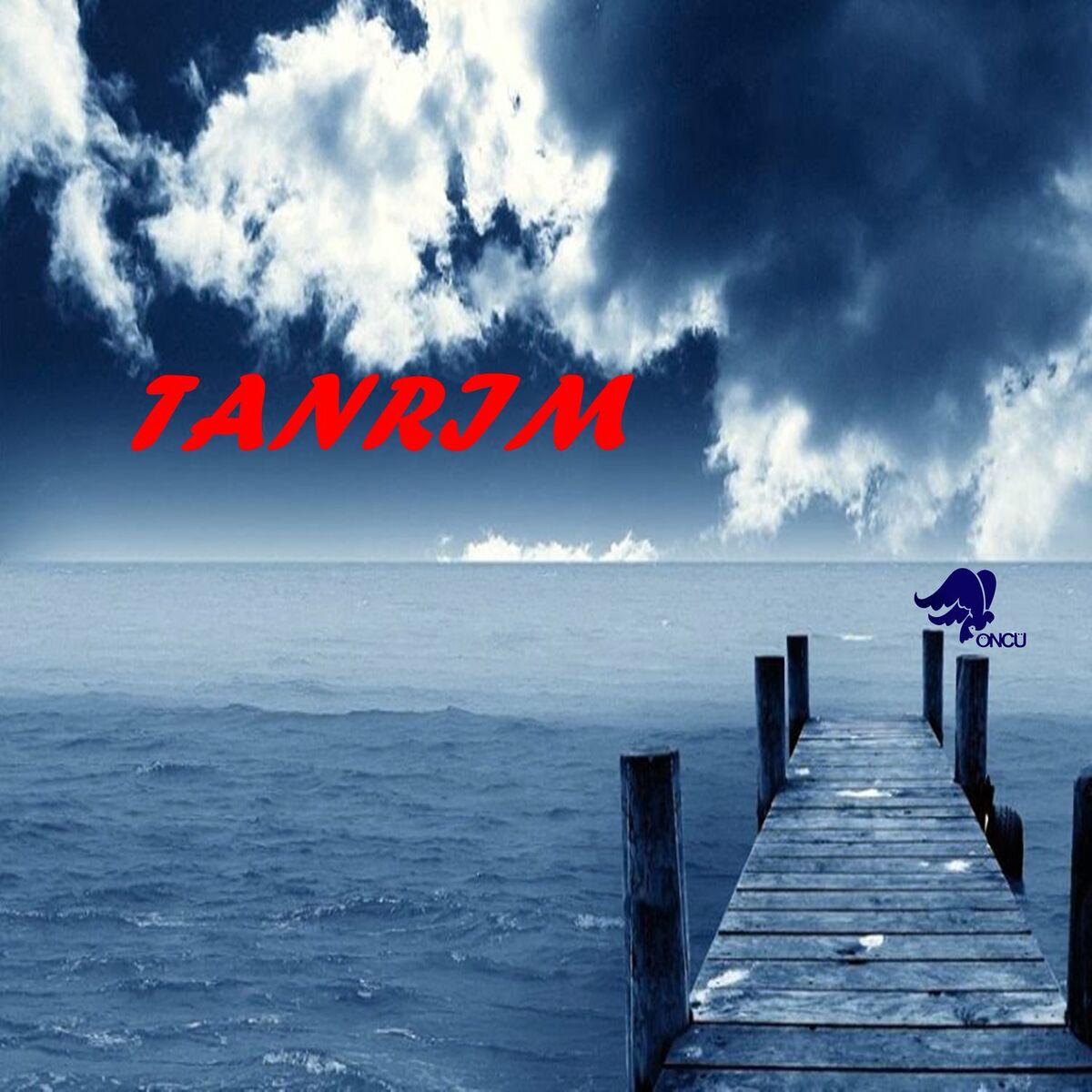 Album cover of Tanrım