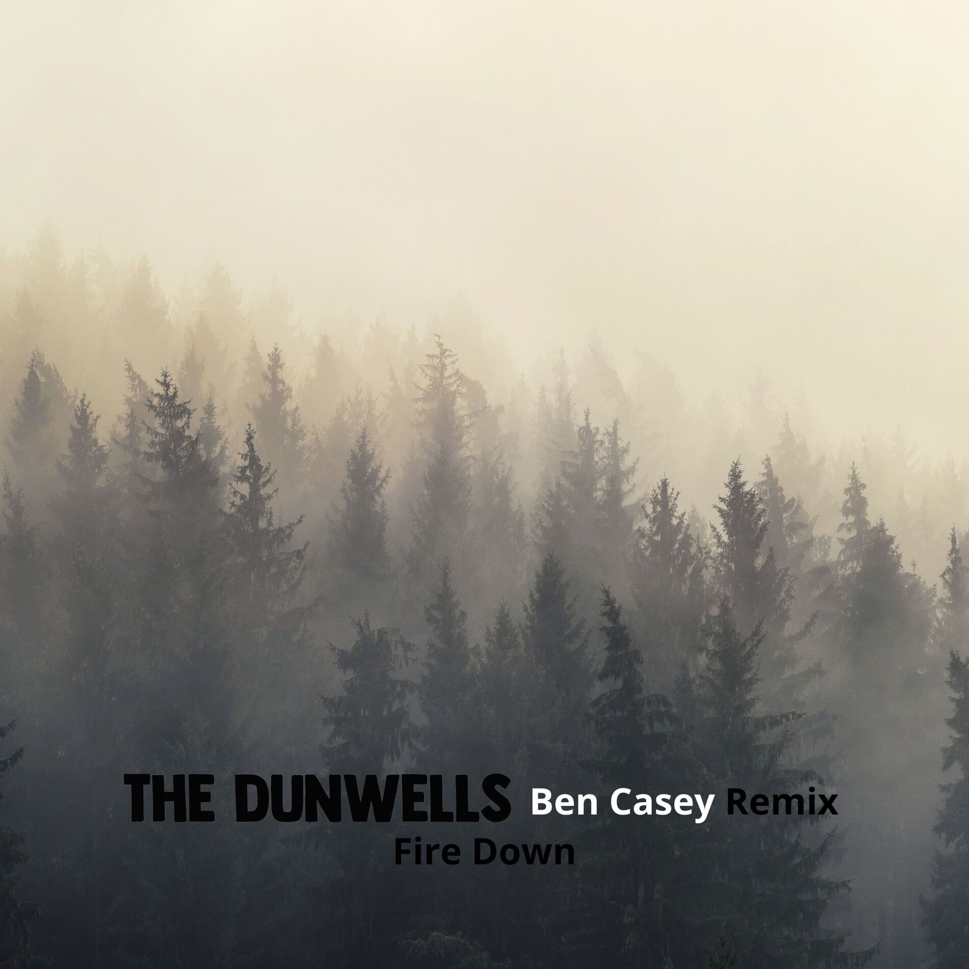 Album cover of Fire Down