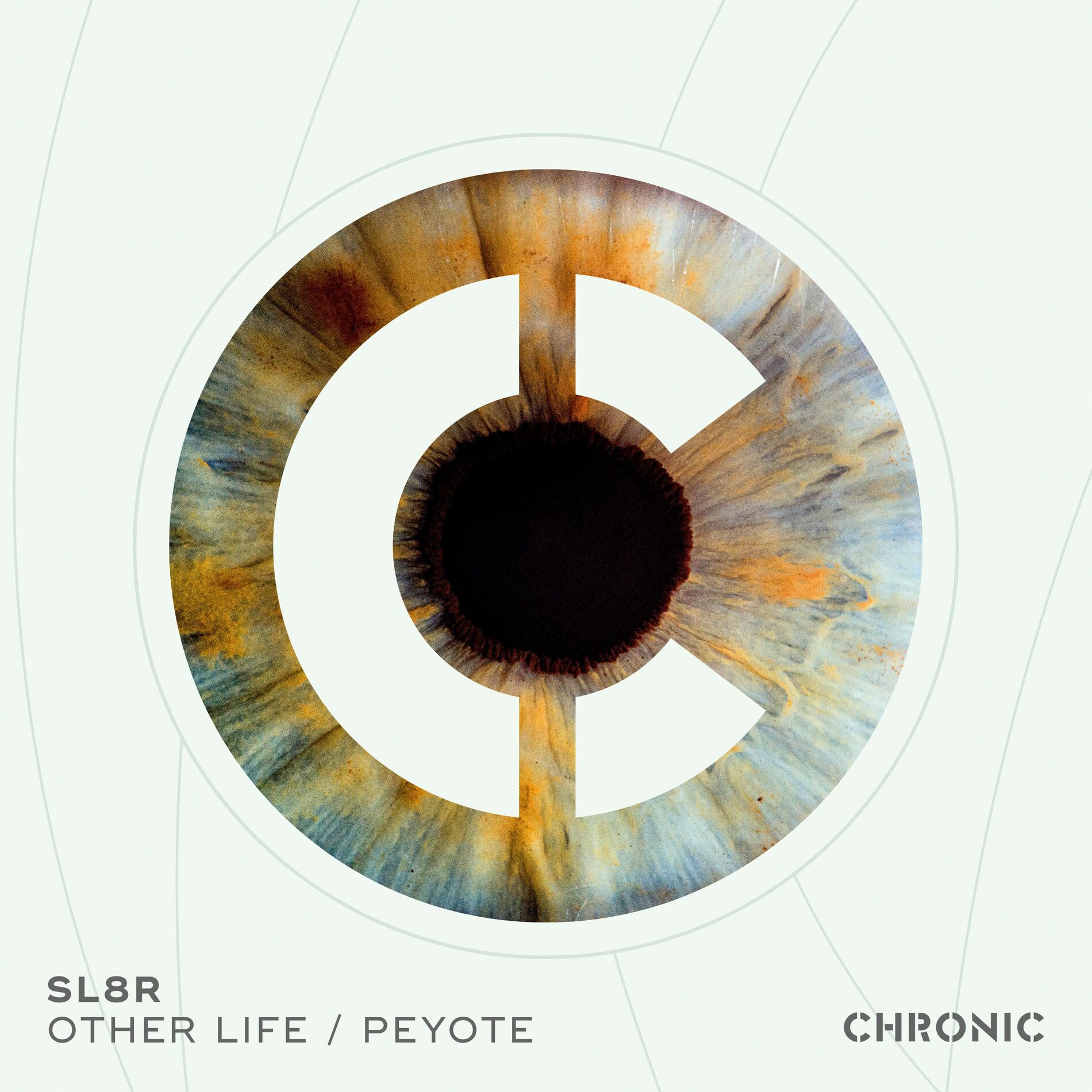 Album picture of Other Life / Peyote