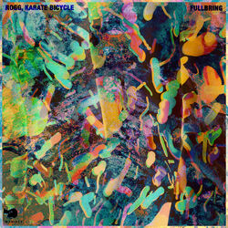 Cover of Fullbring