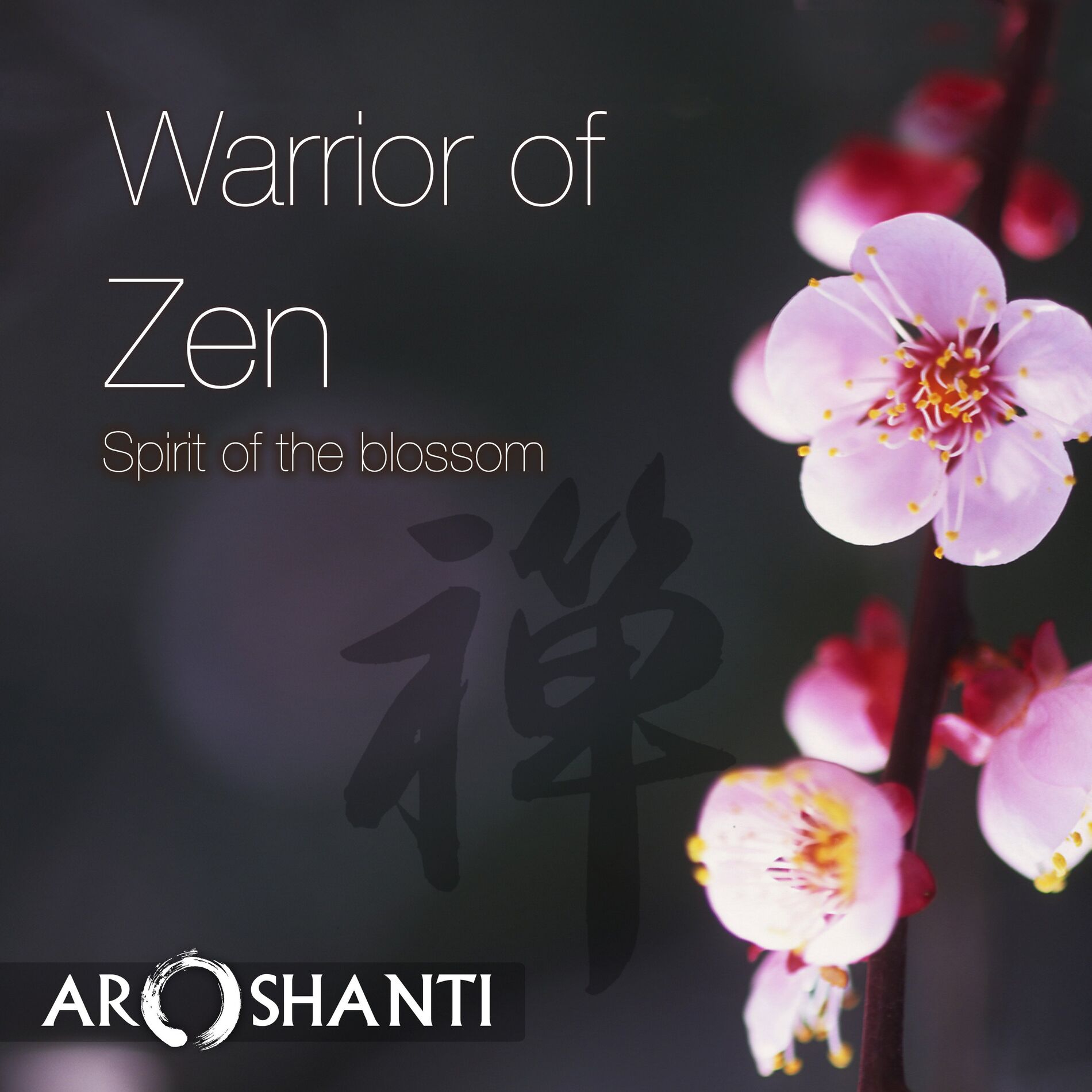 Album cover of Warrior of Zen