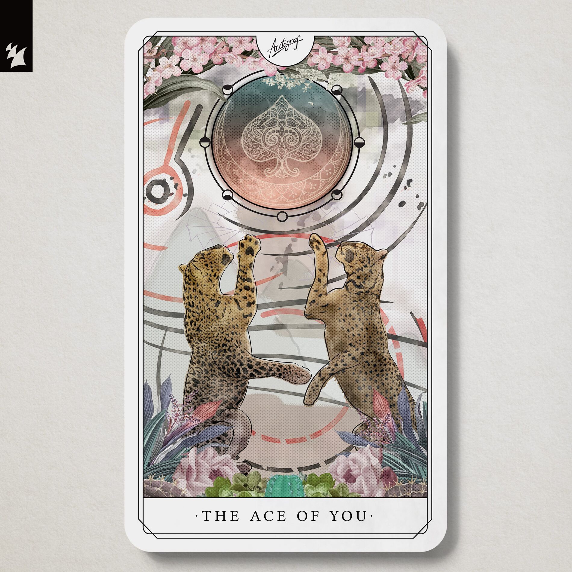 Album cover of Walk With You