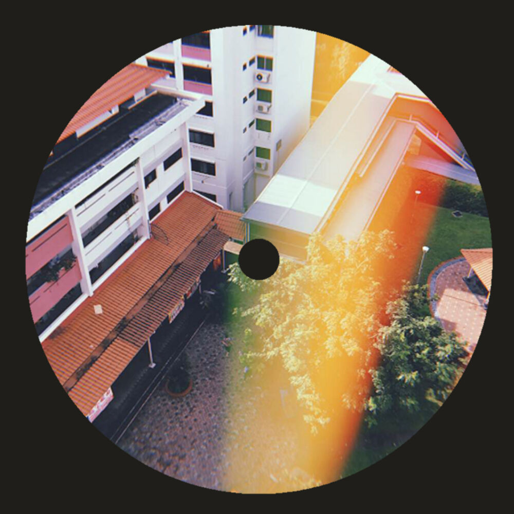 Picture of In The Sun