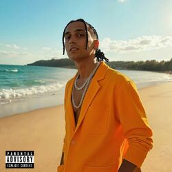 Cover of Vibes