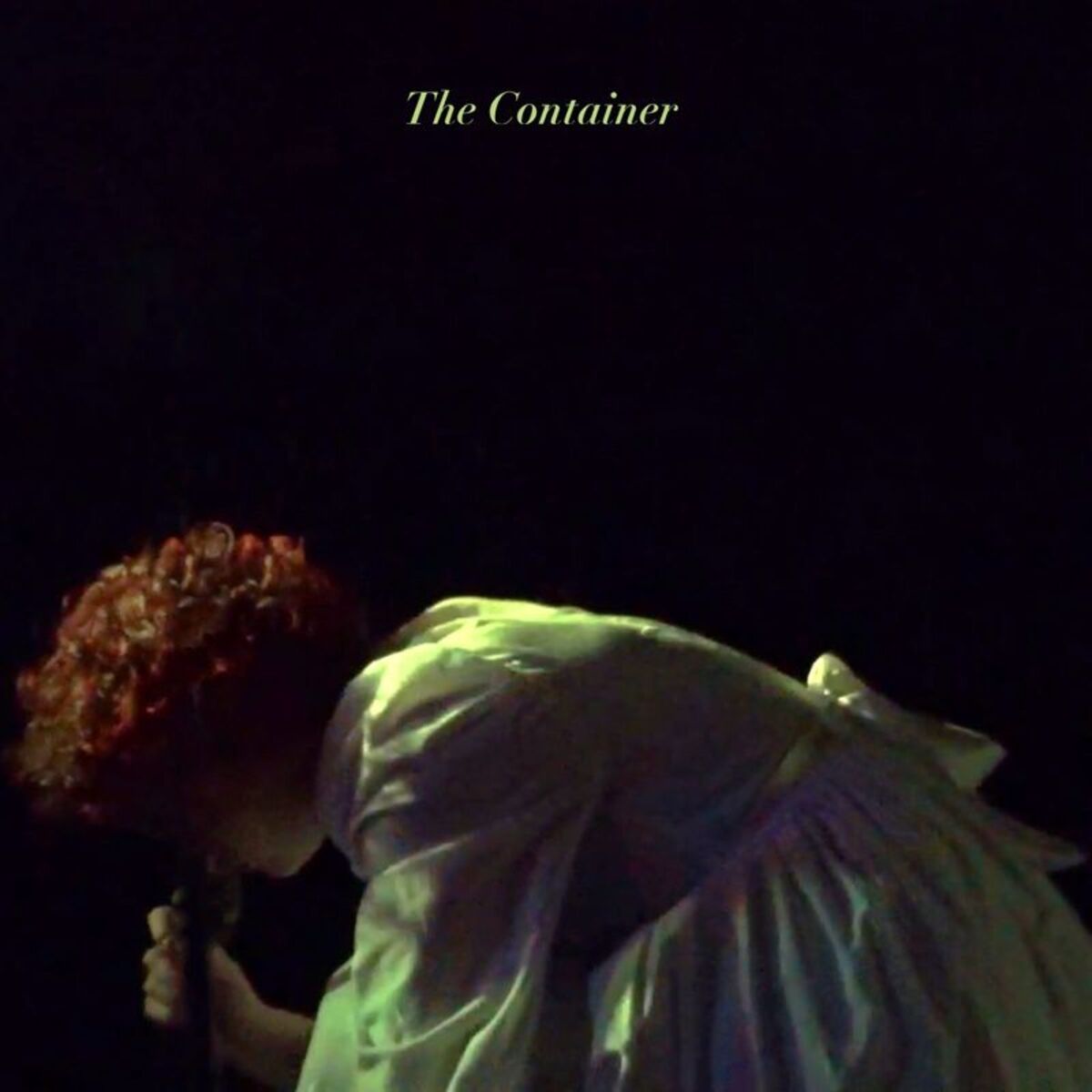 Album cover of The Container