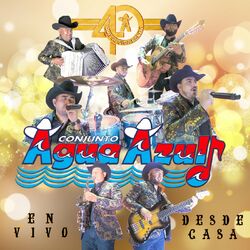 Cover of En Vivo Desde Casa