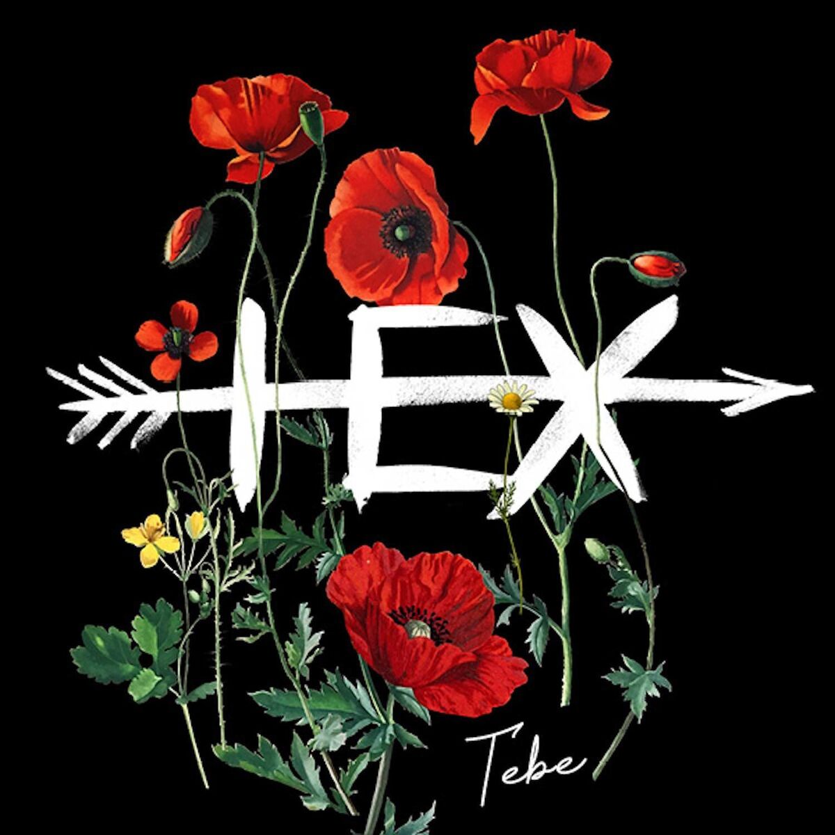 Album cover of Tebe