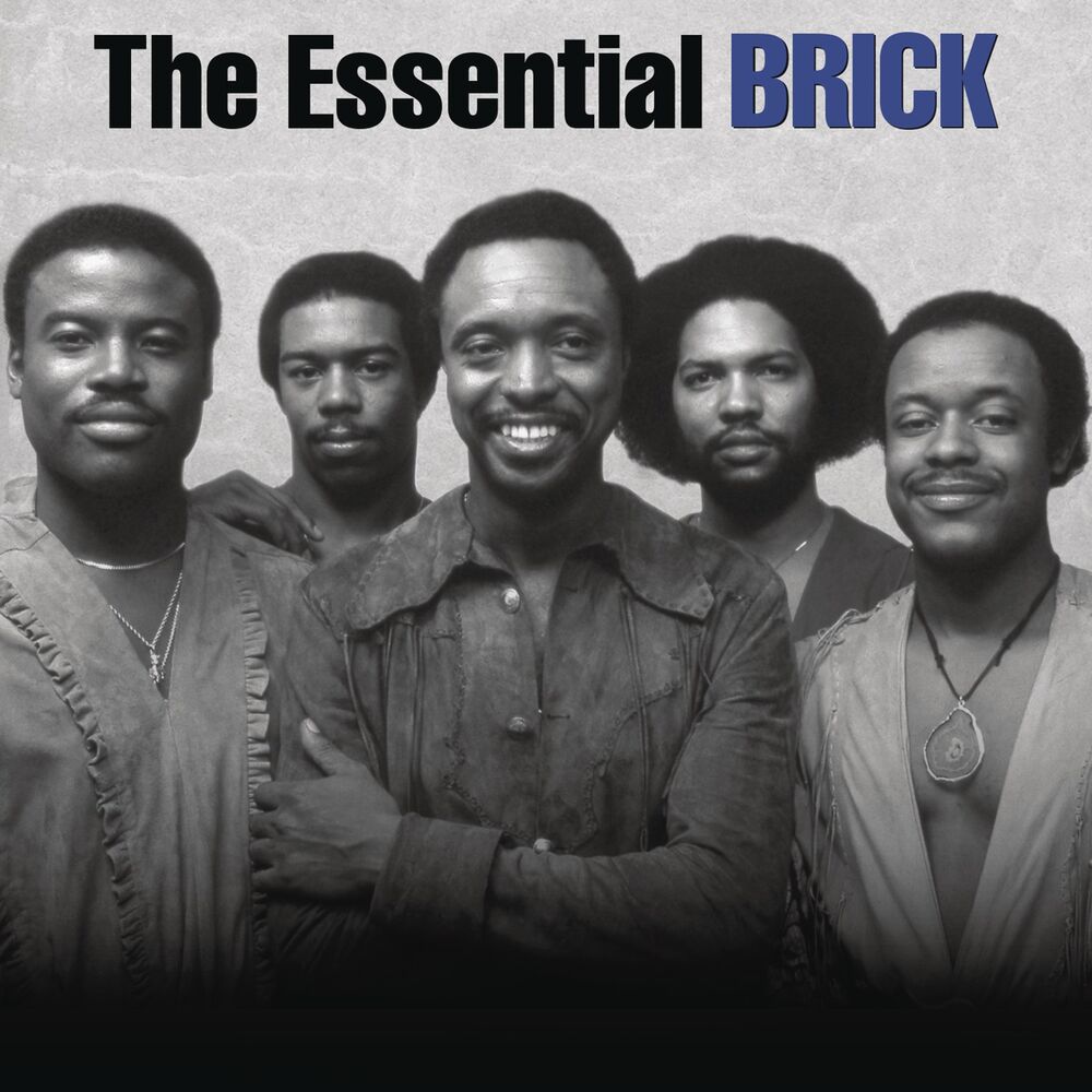 Picture of The Essential Brick