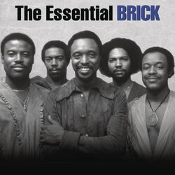 Cover of The Essential Brick