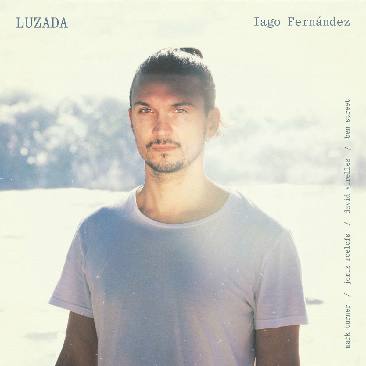 Album cover of Luzada