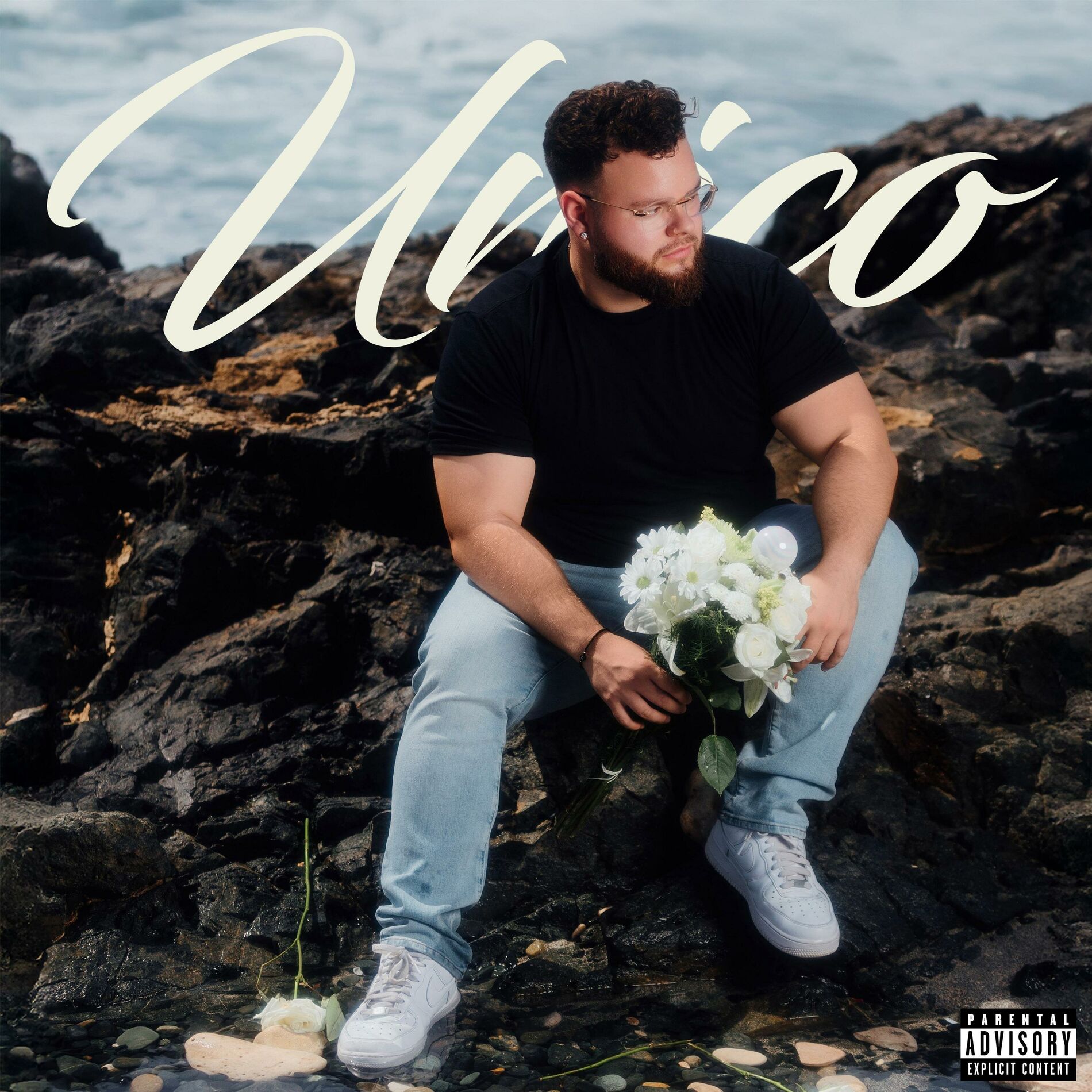 Album cover of Unico