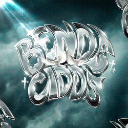 Cover of Bendecidos