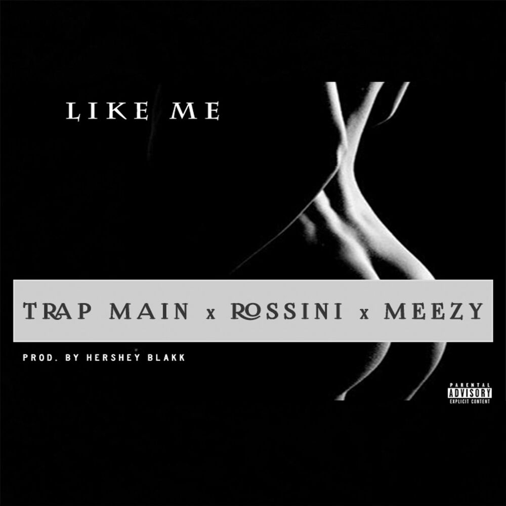 Picture of Like Me (feat. Trap Main & Meezy)