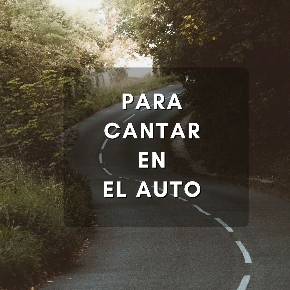 Album cover of Para cantar en el auto