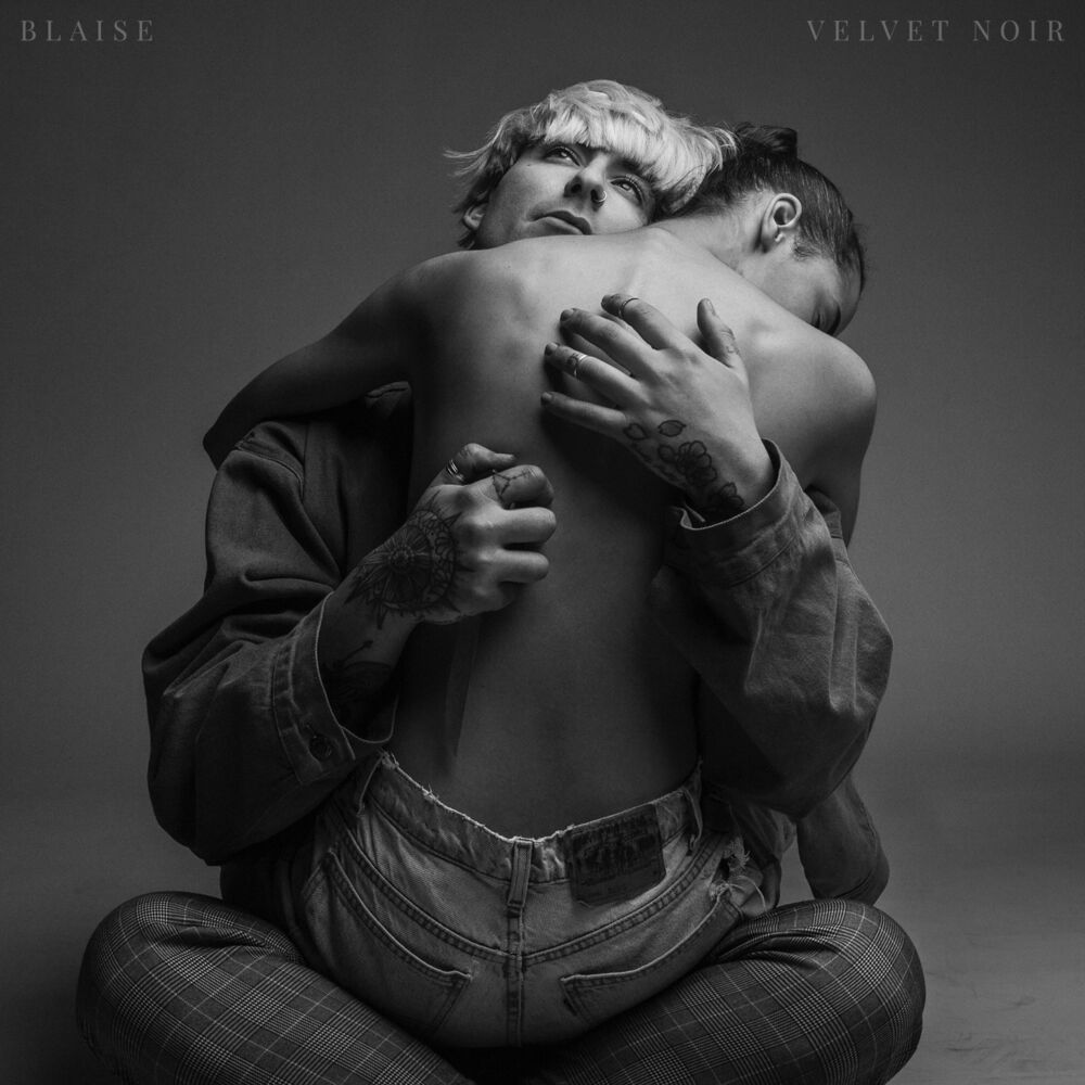 Picture of Velvet Noir