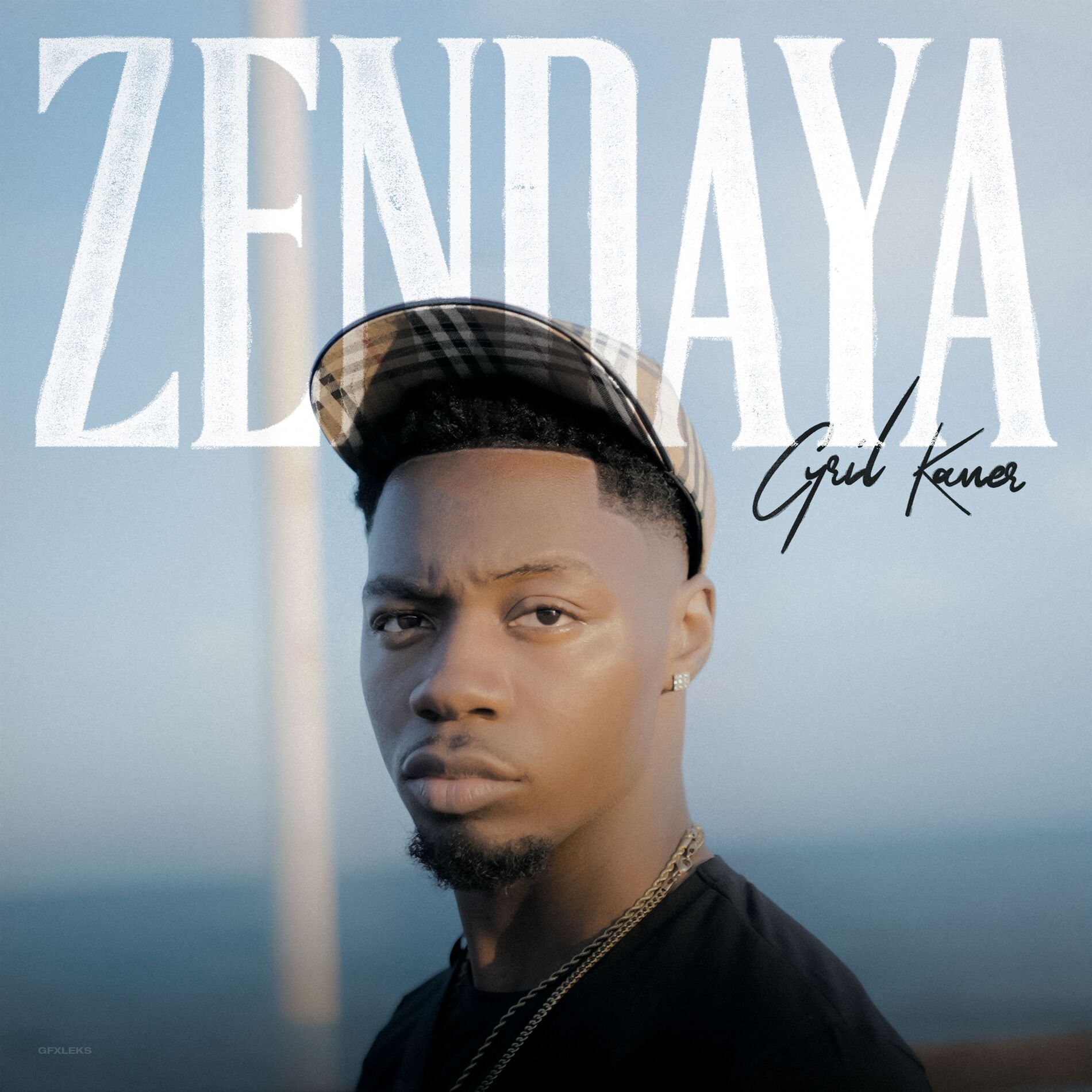 Album cover of Zendaya
