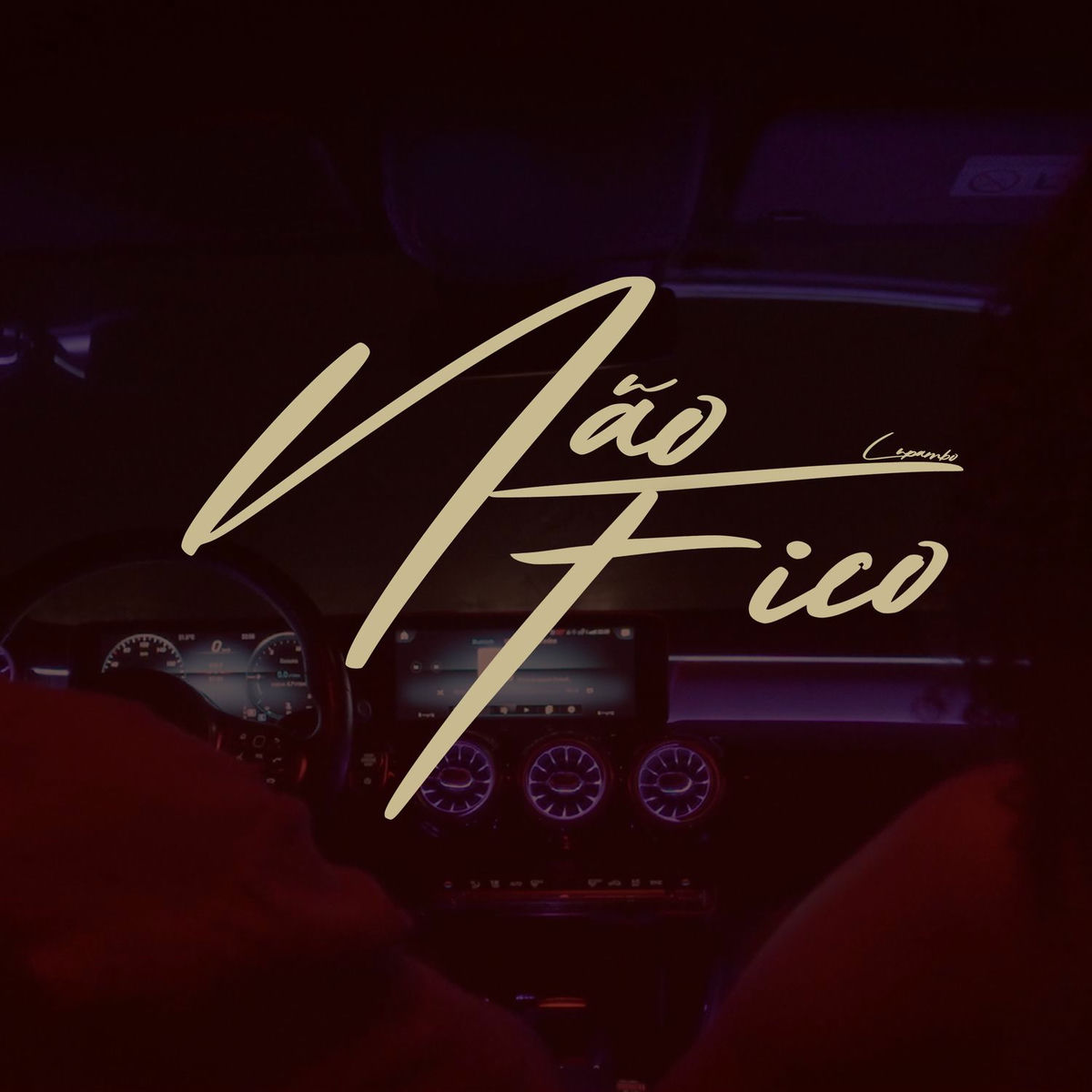 Album cover of Não Fico