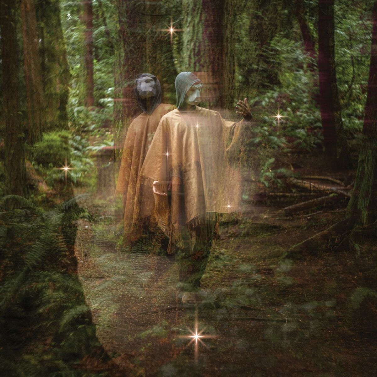 Album cover of Forastero
