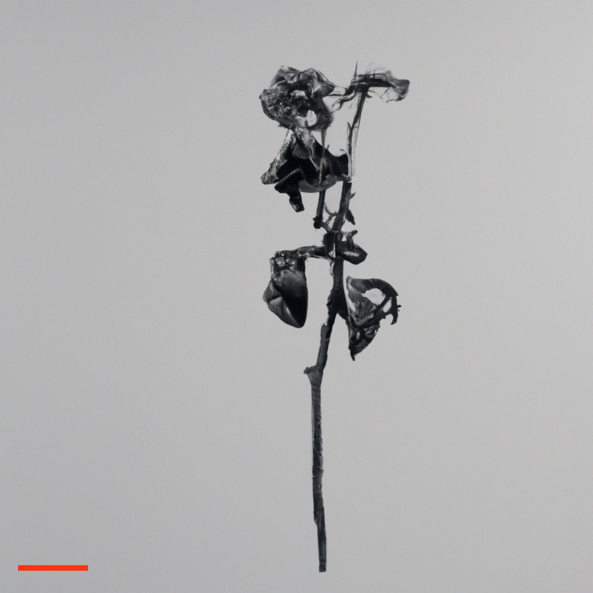 Album cover of Août