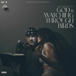 Cover of God Is Watching Through Birds