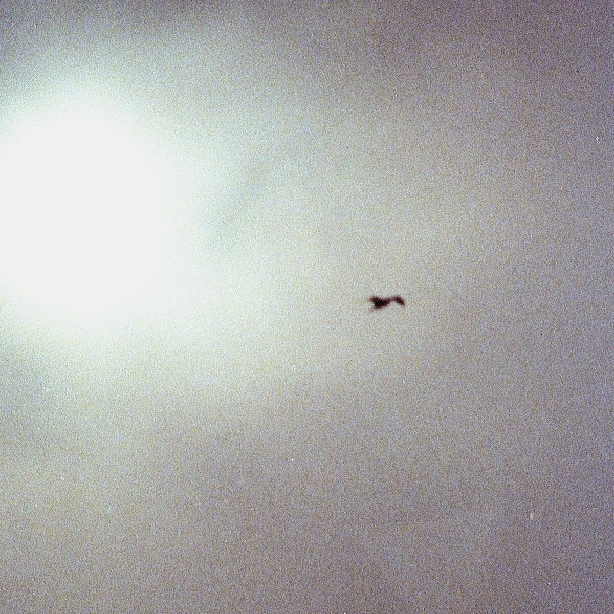 Album cover of Belong To The Past