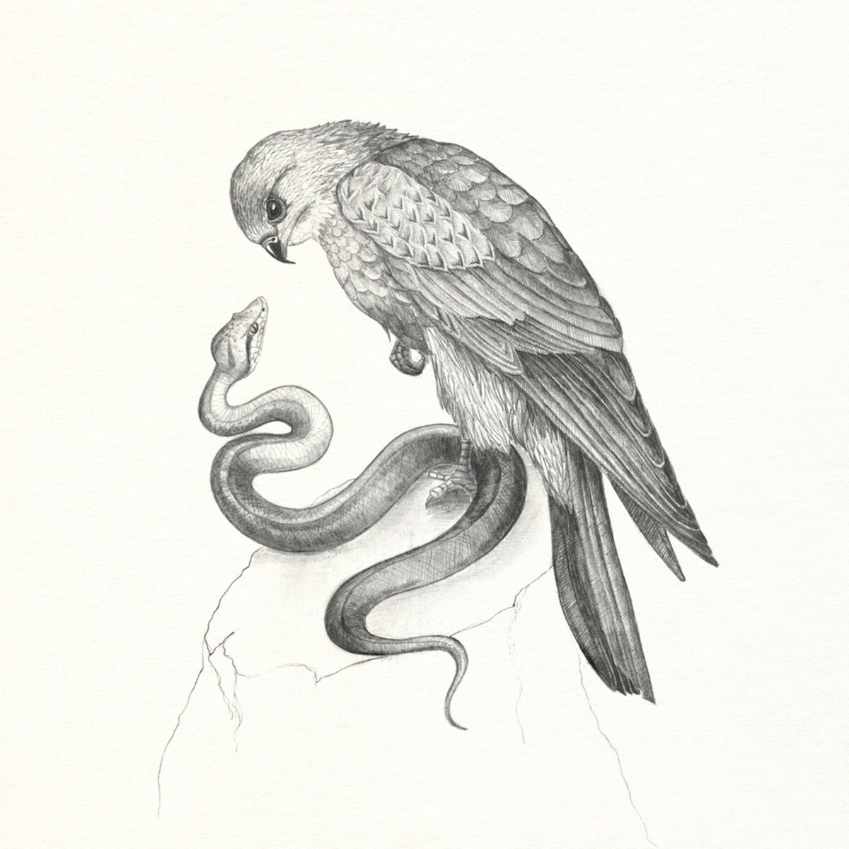 Album cover of Savages - Single