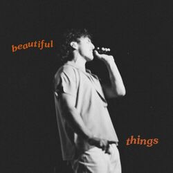 Beautiful Things - Benson Boone