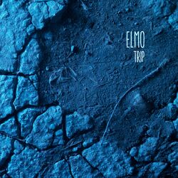 Cover of Trip