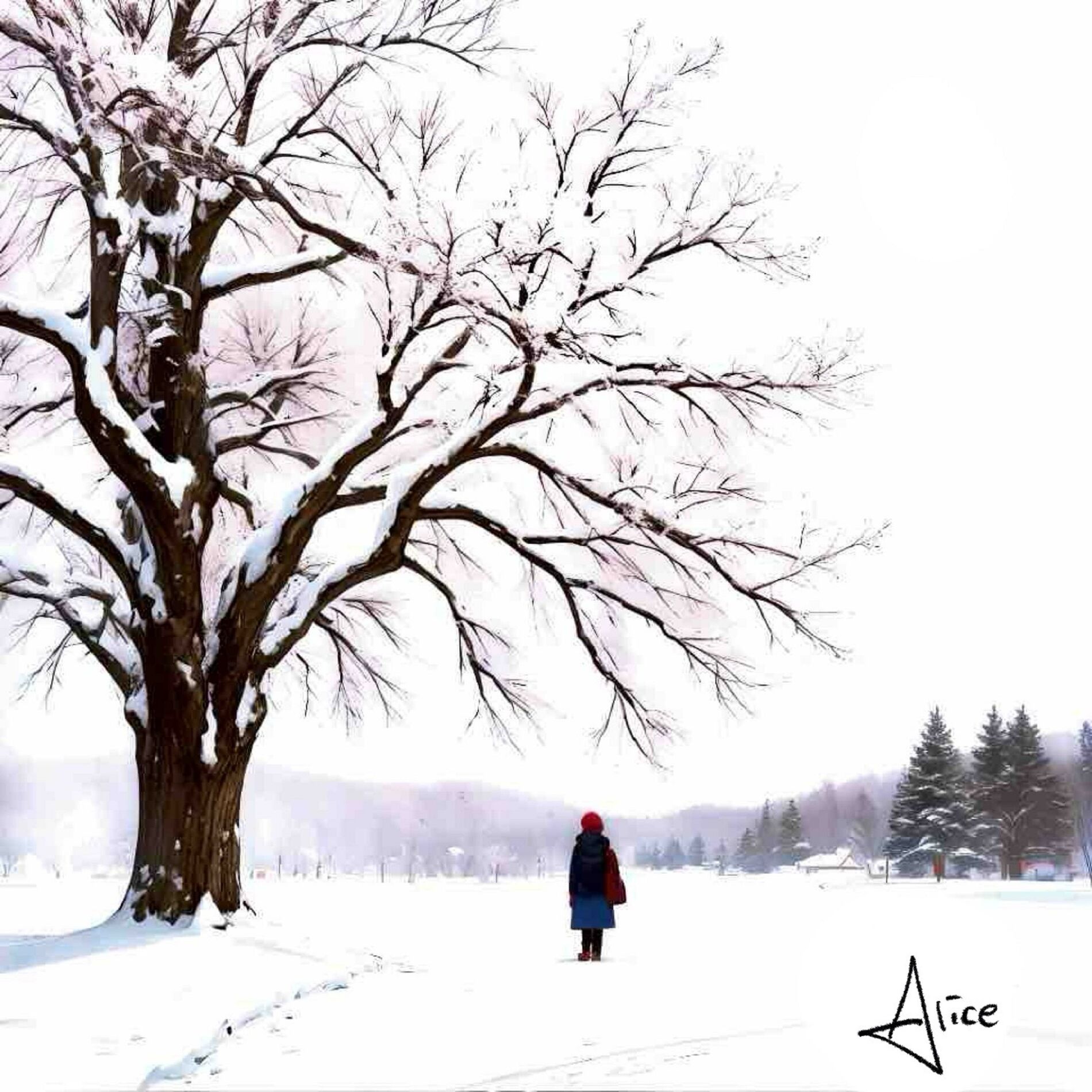 Album cover of Snow (feat. Leto)
