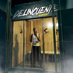 Cover of Delincuente