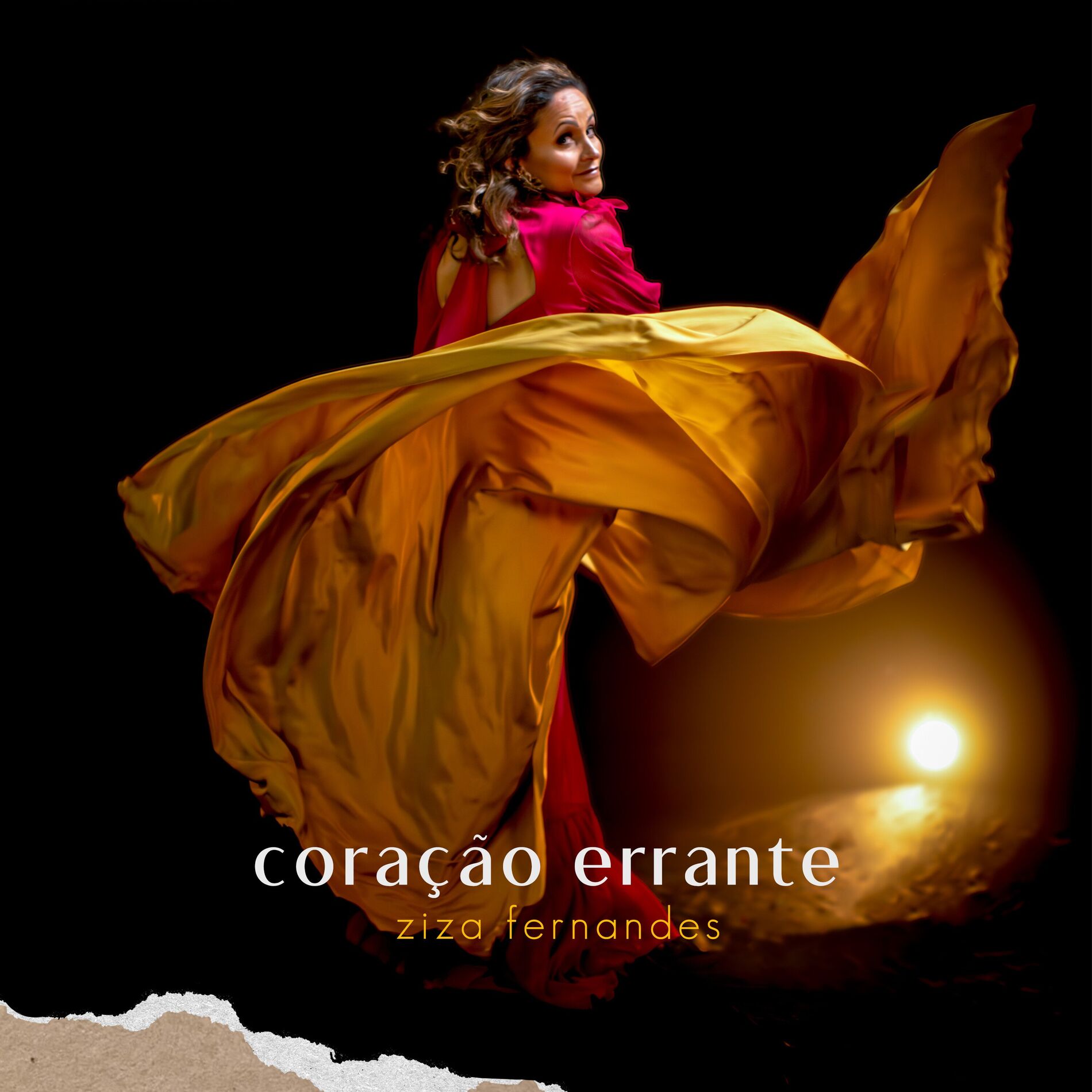 Album cover of Coração Errante