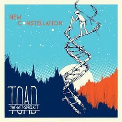 Cover of New Constellation