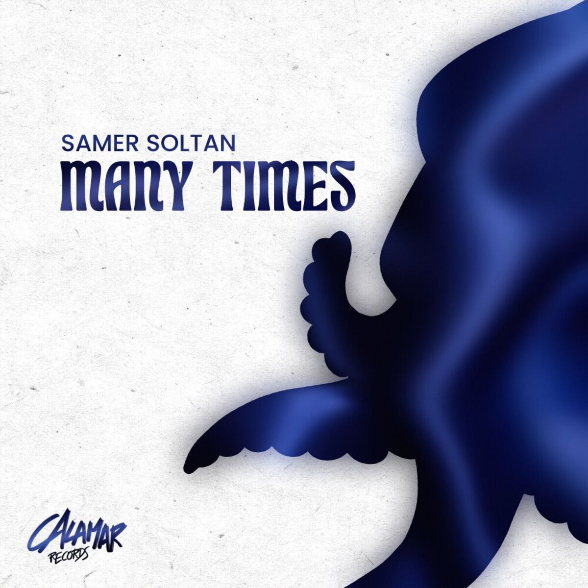 Album cover of Many Times