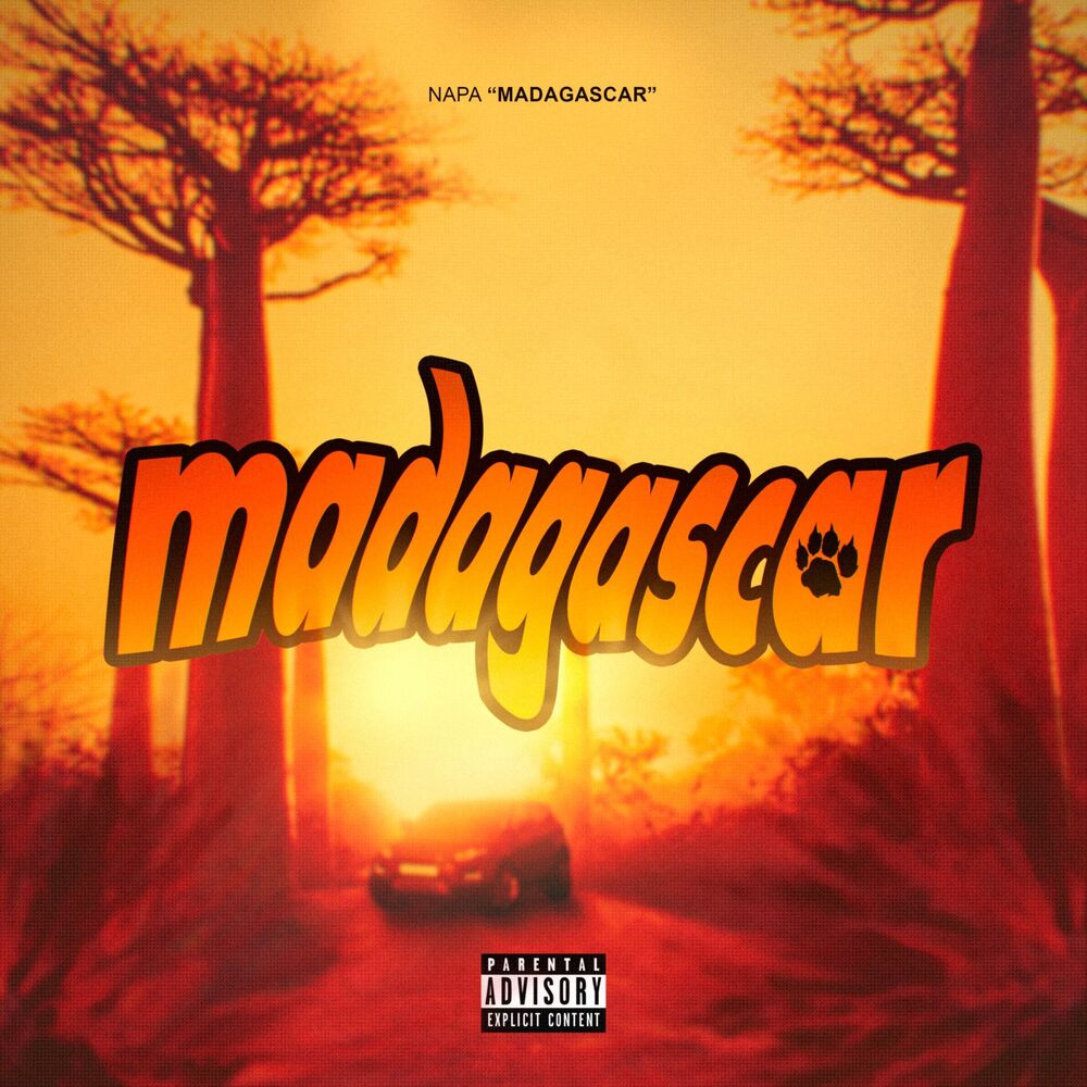 Picture of Madagascar