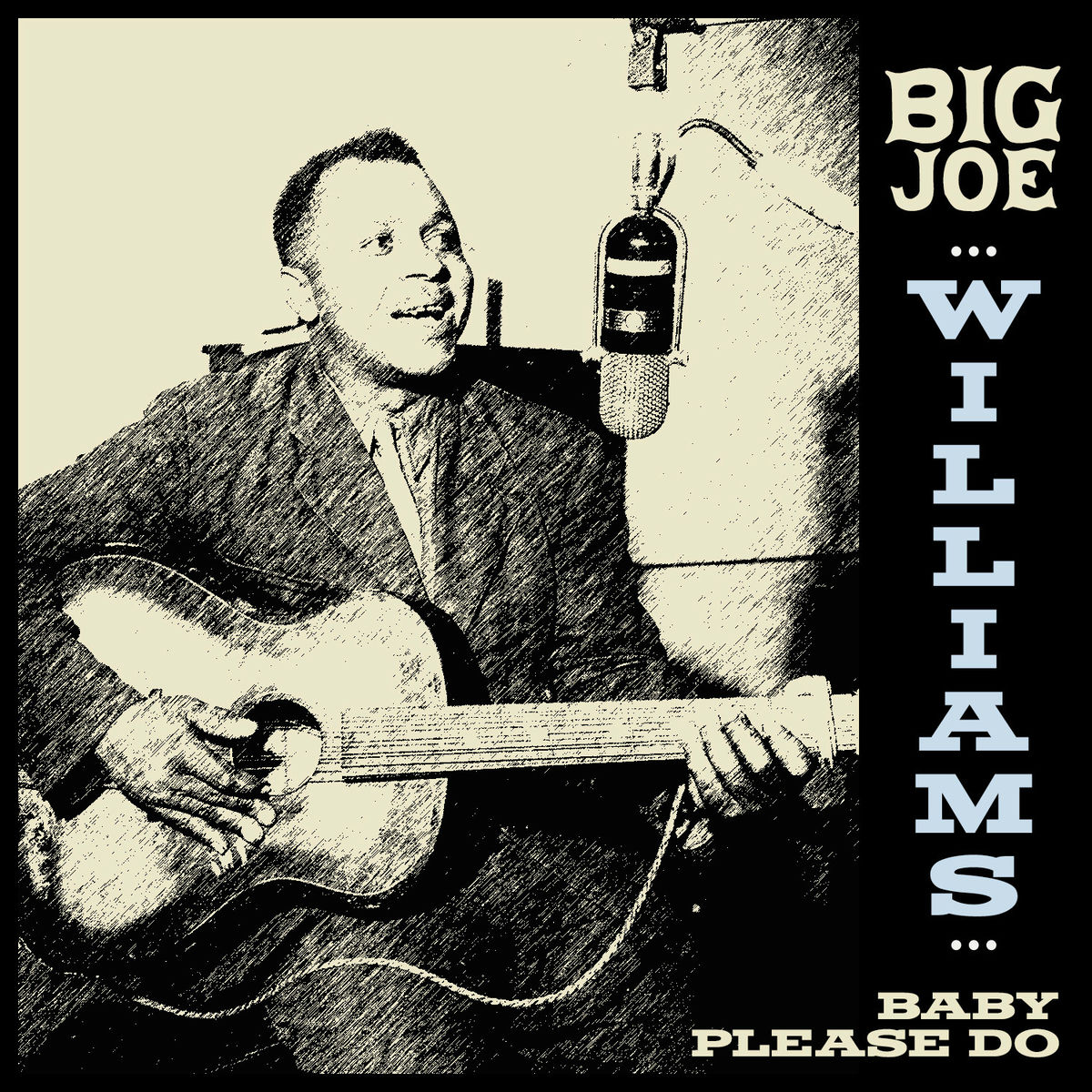 Album cover of Big Joe Williams - Baby Please Do